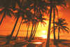 Amora Beach Resort 